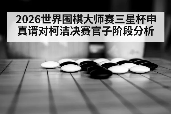 weiqi match stones